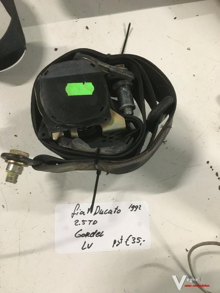 Fiat Ducato 2.5 TD 1992   Gordel Linksvoor of Rechtsvoor, Gebruikt, -, -, Ophalen of Verzenden