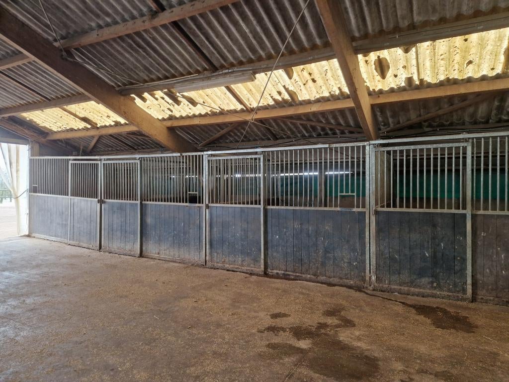 Stalwanden paardenstal boxen staldeuren stallen, Dieren en Toebehoren, Stalling, 4 paarden of pony's of meer