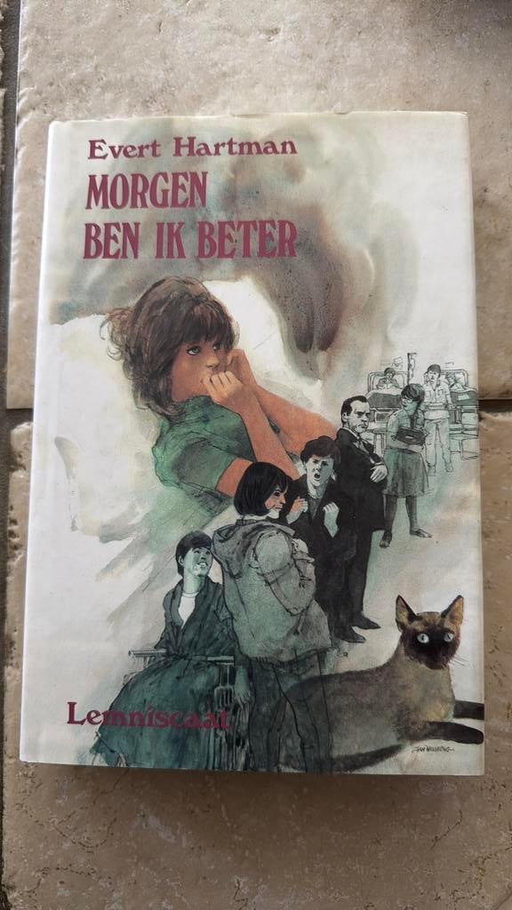 Evert Hartman - Morgen ben ik beter, Boeken, Kinderboeken | Jeugd | onder 10 jaar, Zo goed als nieuw, Fictie algemeen, Ophalen of Verzenden