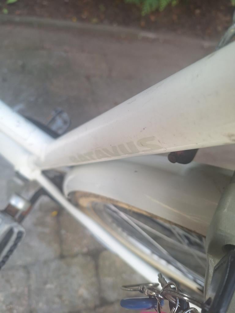 Witte damesfiets., Ophalen, Gebruikt, Batavus, Versnellingen