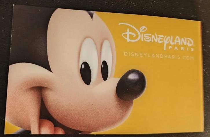 Disneyland Parijs Ticket, Tickets en Kaartjes, Recreatie | Pretparken en Attractieparken, Eén persoon, Ticket of Toegangskaart