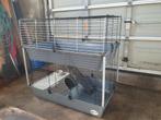 Mooie dubbele knaagdier/cavia kooi, Dieren en Toebehoren, Ophalen, Kooi, Cavia, Minder dan 60 cm