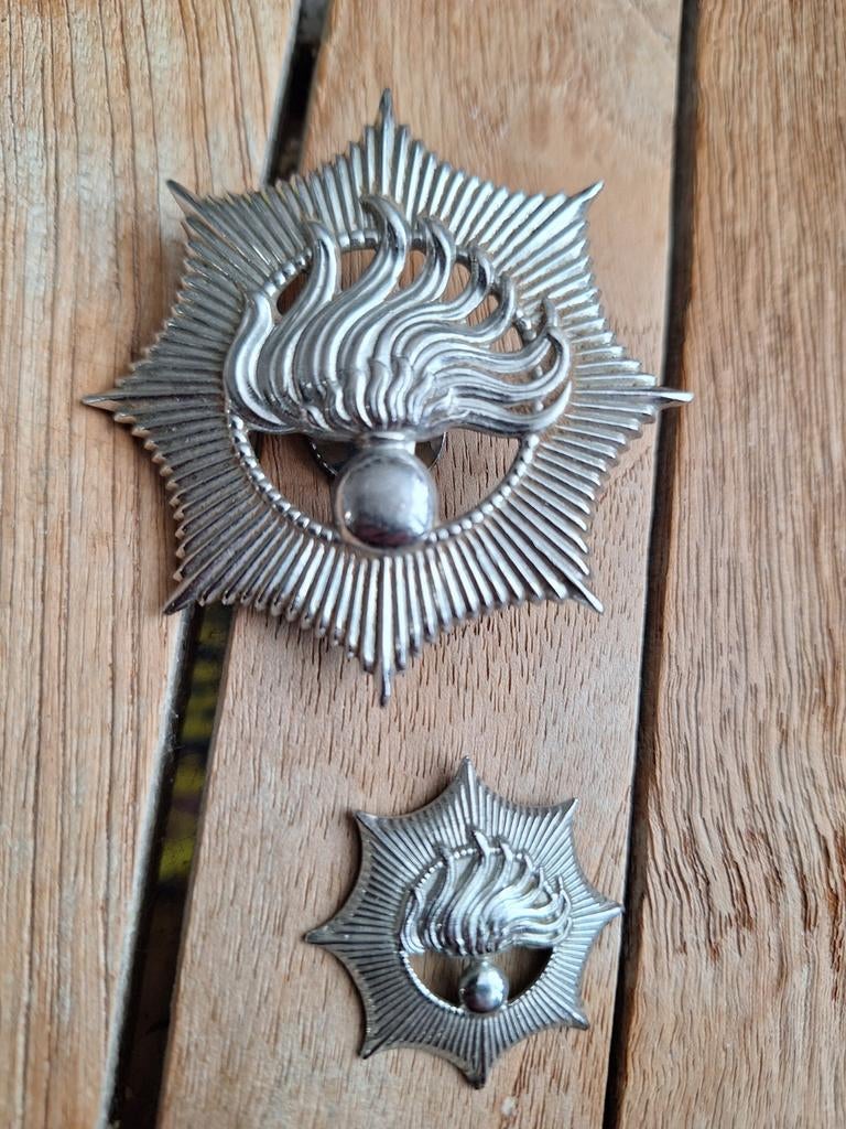 Rijkspolitie enblemen, Ophalen of Verzenden, Gebruikt