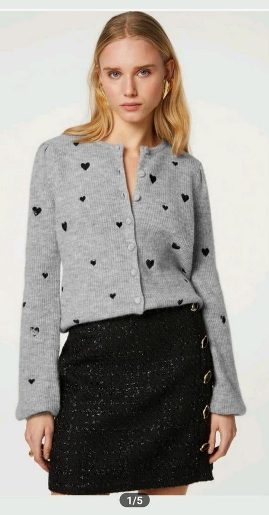 Fabienne Chapot Lidia cardigan/ vest maat S *nieuw *, Fabienne Chapot, Ophalen of Verzenden, Nieuw, Maat 36 (S)