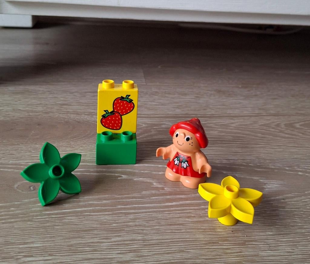 Bosvriendje aardbei, Ophalen of Verzenden, Zo goed als nieuw, Duplo