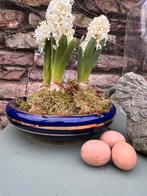 Boch schaal blauw oud, Antiek en Kunst, Ophalen of Verzenden