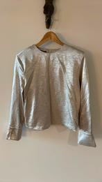 Gave zilverkleurige top van C&A, Kleding | Dames, Tops, Maat 38/40 (M), Overige kleuren, Ophalen of Verzenden, Zo goed als nieuw