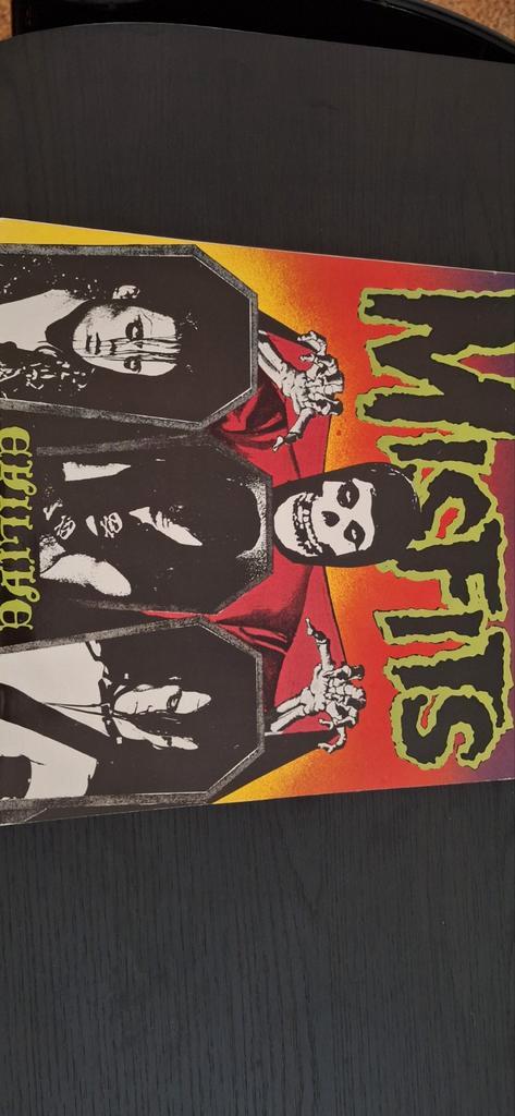 Misfits - Evilive LP (Eerste Persing) - Zeldzaam Punk Vinyl, Cd's en Dvd's, Vinyl | Rock, Gebruikt, Alternative, 12 inch, Ophalen of Verzenden