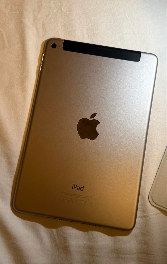 iPad mini 4 zilver/zwart inclusief hoesje, Ophalen, Gebruikt, 8 inch, 16 GB