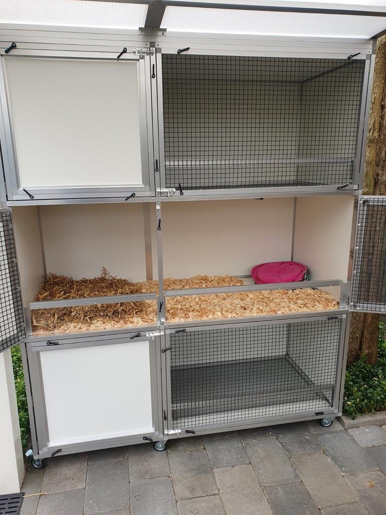 Cavia Pension, Dieren en Toebehoren, Knaagdieren, Januari, Meerdere dieren, Cavia