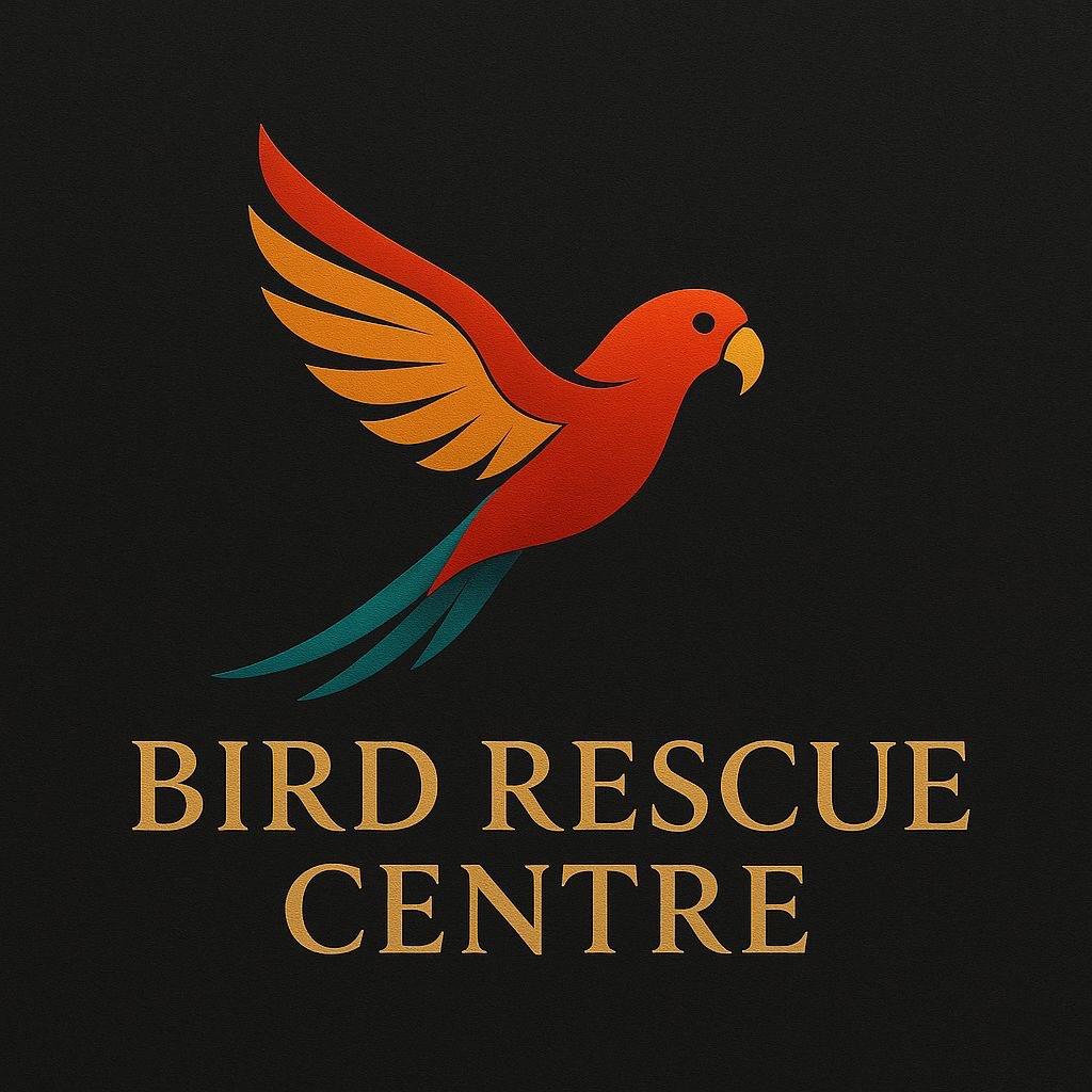 Gezocht: Locatie voor vogelopvang, Dieren en Toebehoren, Ophalen, Gebruikt
