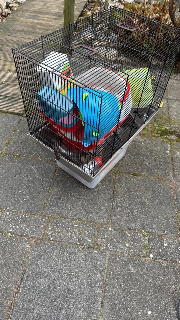 Hamsterkooi met spullen, Dieren en Toebehoren, Knaagdieren en Konijnen | Hokken en Kooien, Kooi, Gebruikt, 60 tot 90 cm, Minder dan 75 cm