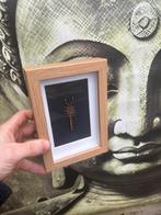 Geprepareede schorpioen in een 3d lijst., Ophalen of Verzenden, Overige soorten, Opgezet dier