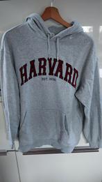 Grijze trui/ hoody, harvard. H&M, maat M, Kleding | Dames, Maat 38/40 (M), H&M, Ophalen of Verzenden, Zo goed als nieuw