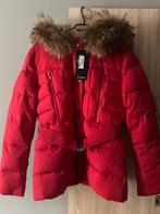 Nieuw Attentif dames jas maat 38, Kleding | Dames, Ophalen of Verzenden, Zo goed als nieuw, Maat 38/40 (M), Rood