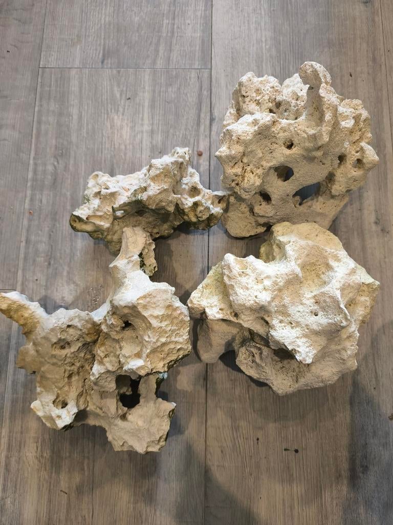 Aquarium rotsen, Dieren en Toebehoren, Vissen | Aquaria en Toebehoren, Ophalen, Zo goed als nieuw, Plant(en), Steen of Hout