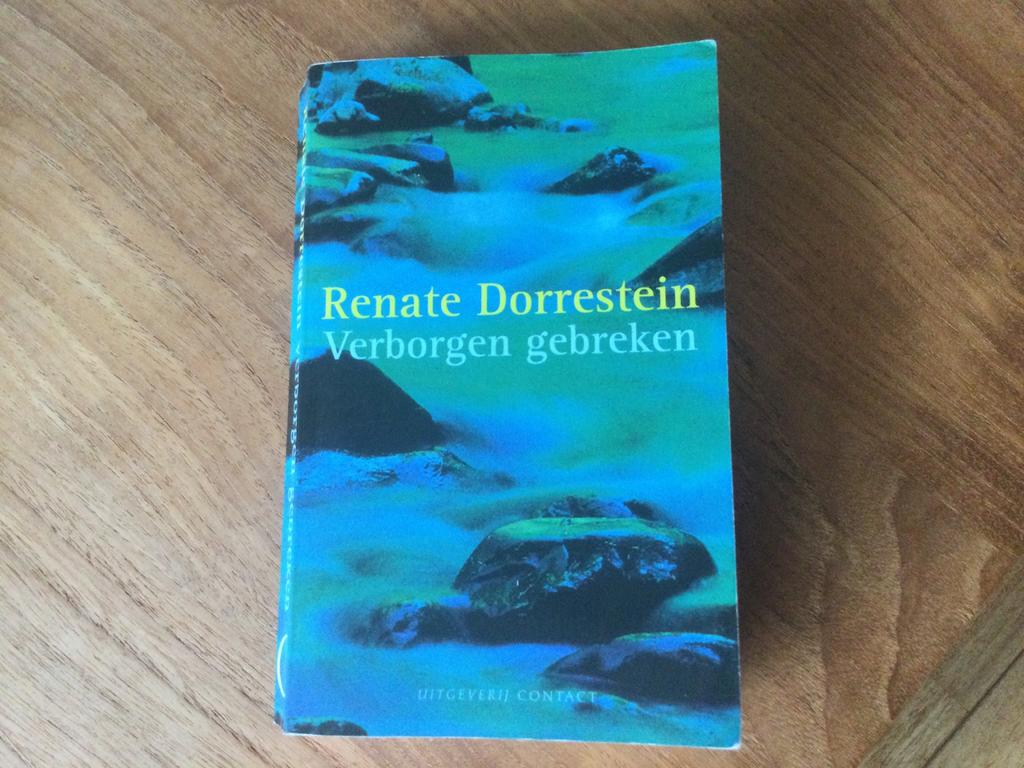 Renate Dorrestein, Verborgen gebreken, Ophalen of Verzenden, Gelezen, Renate Dorrestein, Nederland