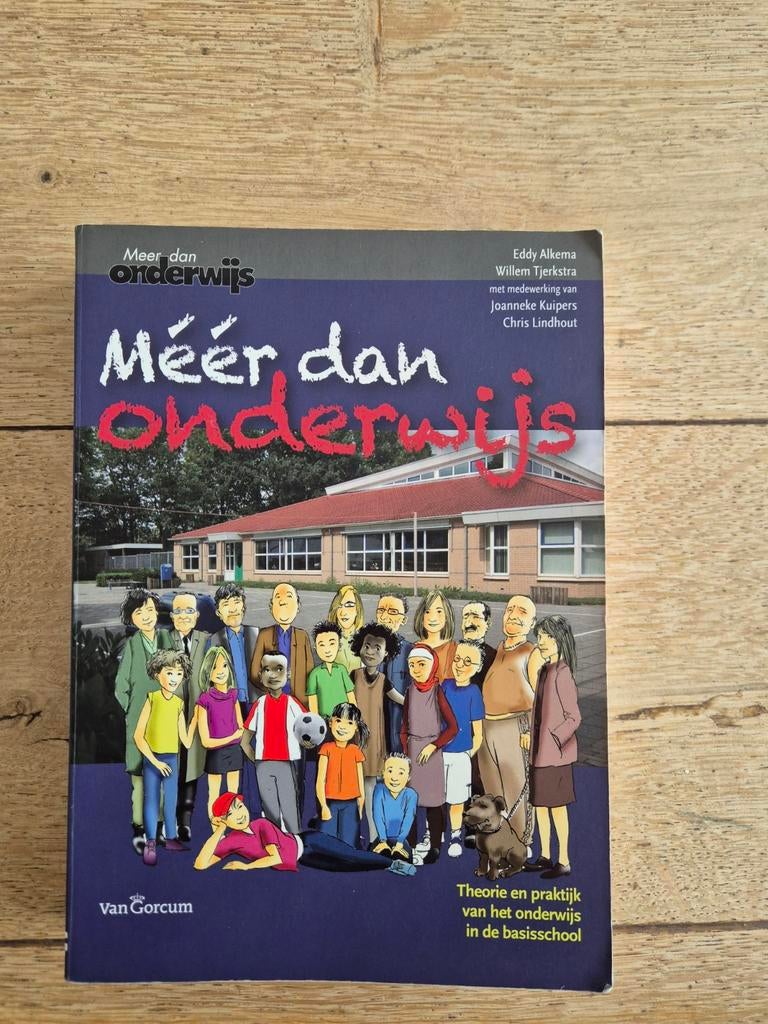Meer dan onderwijs - Pabo boek basisschool, Boeken, Ophalen of Verzenden, Alpha, HBO