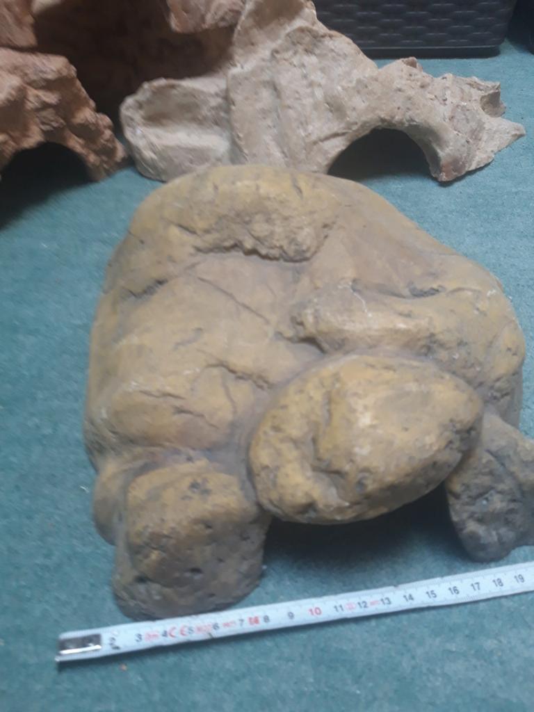 Schuilgrotten, Dieren en Toebehoren, Reptielen en Amfibieën | Toebehoren, Ophalen, Zo goed als nieuw, Tak, Plant, Rots of Steen