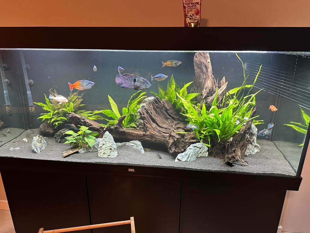 Juwel Rio 450 + Chihiros WRGB 1500 + Biomaster 850 & Eheim, Dieren en Toebehoren, Ophalen, Zo goed als nieuw, Leeg aquarium