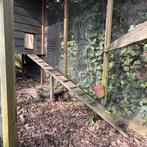 Kippenhok, Dieren en Toebehoren, Pluimvee | Toebehoren, Ophalen, Gebruikt, Kippenhok of Kippenren