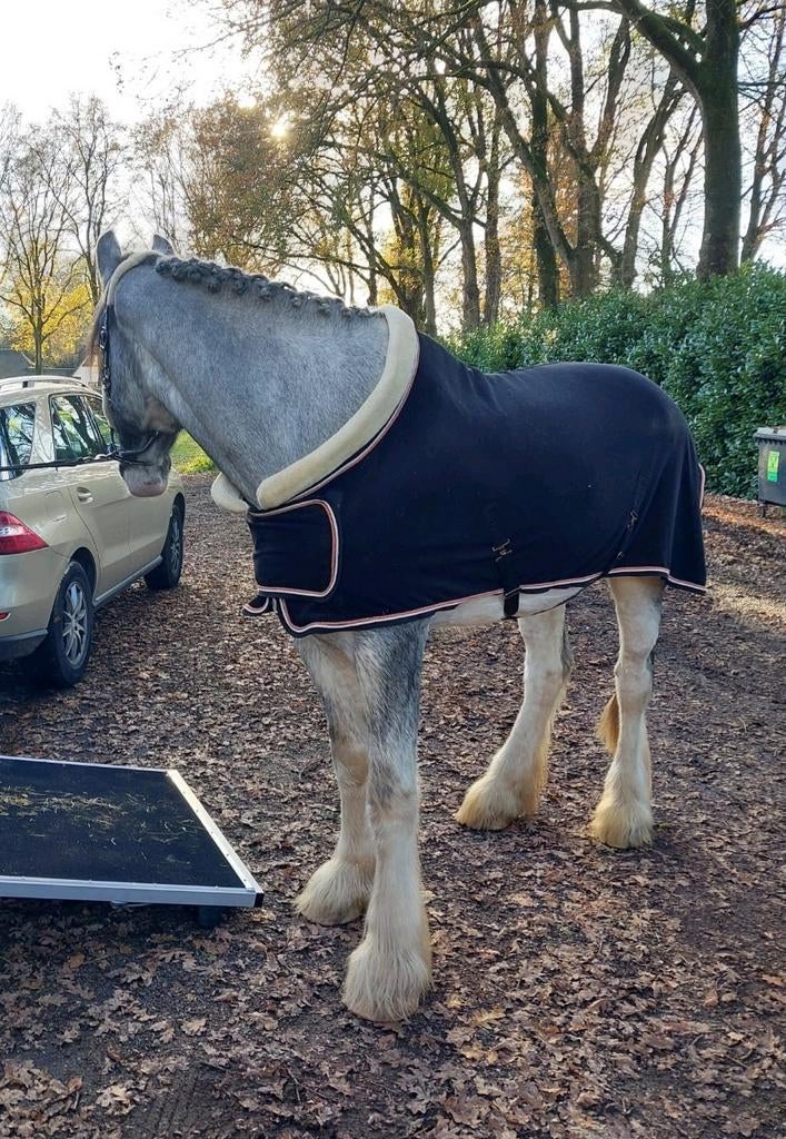 HB fleece deken teddy kraag, Dieren en Toebehoren, Ophalen of Verzenden