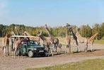 30% korting pp Safaripark Beekse Bergen (max. 4 personen), Tickets en Kaartjes, Drie personen of meer, Kortingskaart