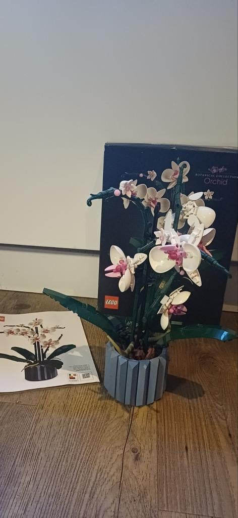 Moederdag tip Lego Botanical Orchid met doos en boekje, Kinderen en Baby's, Speelgoed | Duplo en Lego, Compleet, Lego, Ophalen of Verzenden