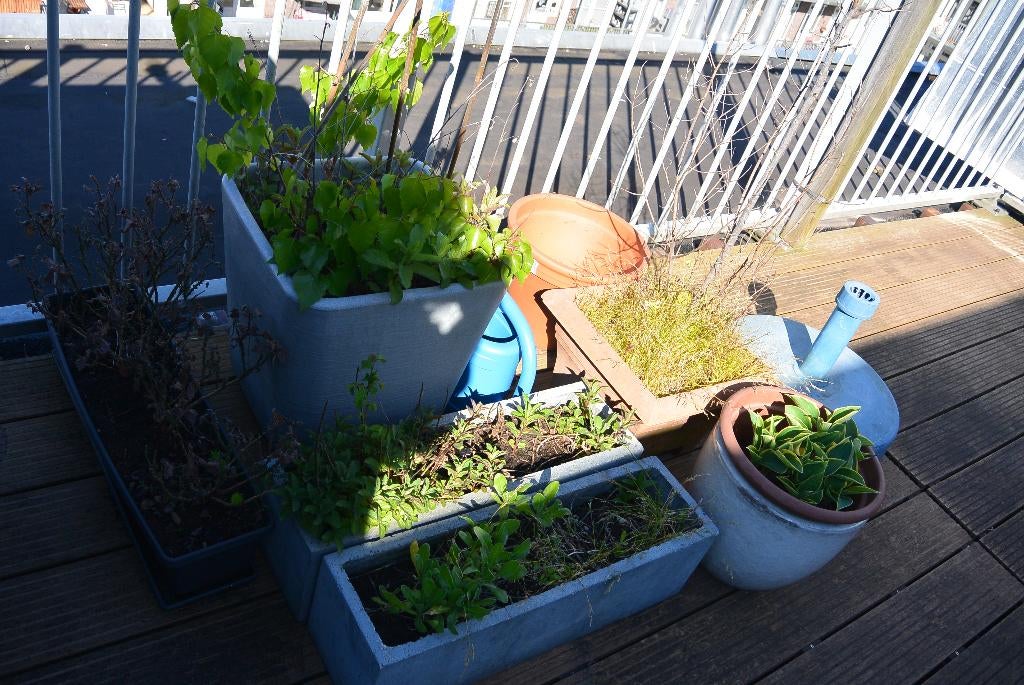 Bloembakken en bloempotten, parasolvoet, Gebruikt, Minder dan 40 cm, Balkon, Overige vormen