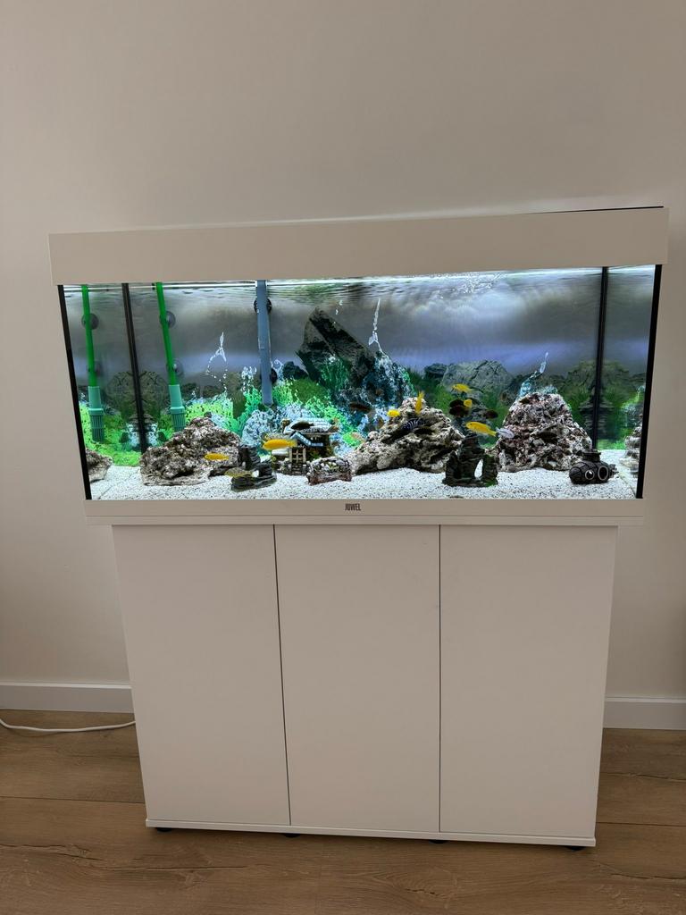 Mooie JUWEL aquarium te koop incl toebehoren en vissen, Ophalen, Zo goed als nieuw, Gevuld zoetwateraquarium