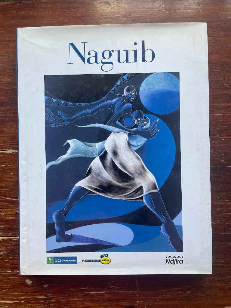 Naguib Elias Abdula Naguib 2005, Boeken, Naguib Elias Abdula, Ophalen of Verzenden, Zo goed als nieuw, Schilder- en Tekenkunst