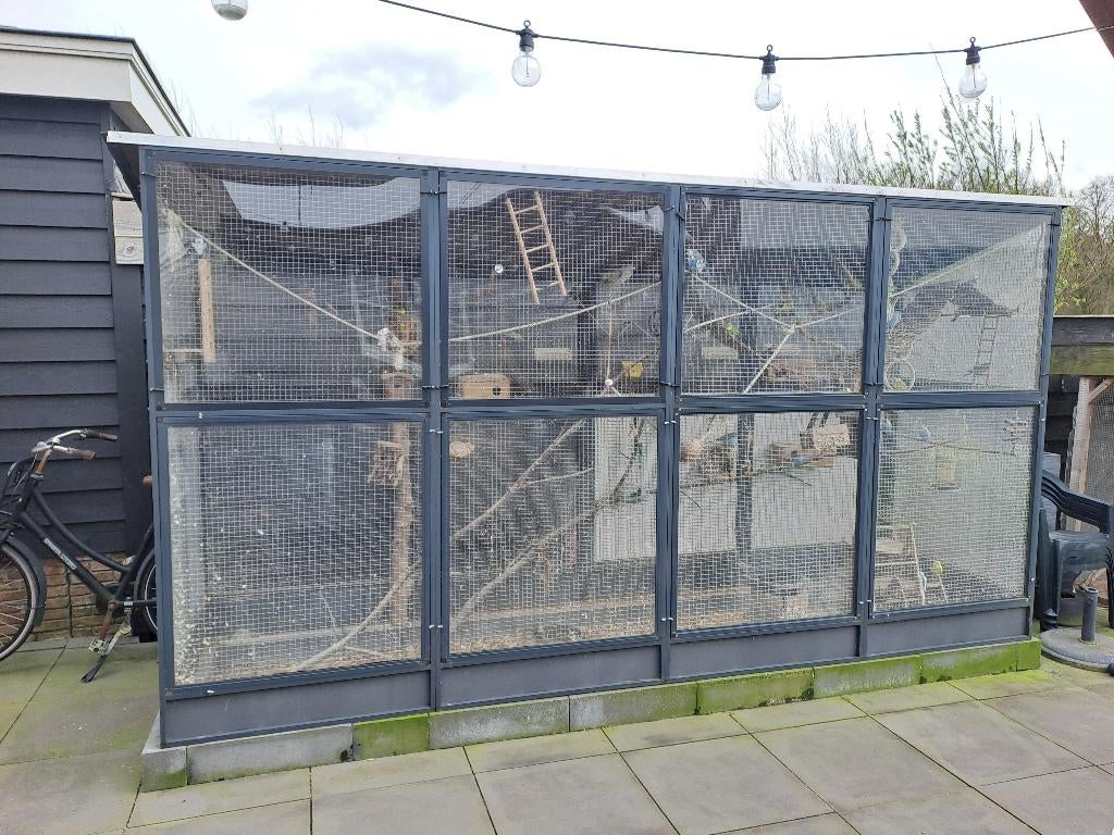 Voliere met parkieten, Ophalen, Gebruikt, Metaal, Volière