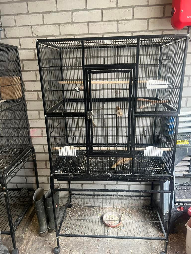 Grote vogelkooi, Dieren en Toebehoren, Vogels | Hokken en Kooien, Ophalen, Zo goed als nieuw, Metaal, Vogelkooi