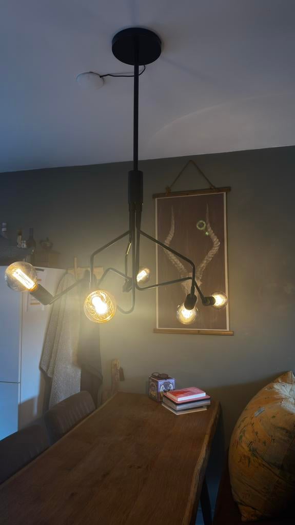 zwarte plafondlamp met verstelbare armen en lampen, Ophalen, Zo goed als nieuw