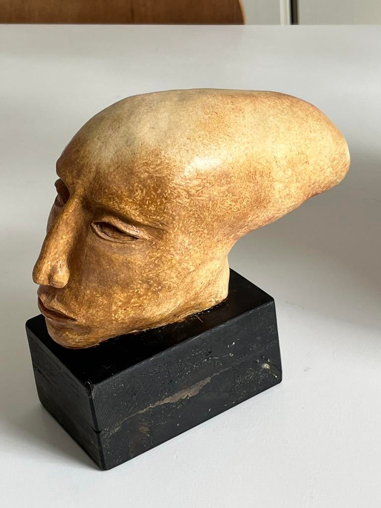 Darius Gunneweg Dutch Art, Antiek en Kunst, Kunst | Beelden en Houtsnijwerken, Ophalen of Verzenden