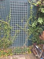 Gaaspanelen  60cm x 2 meter, Ophalen, Minder dan 10 meter