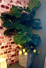 Praxgtige net echt kunstplant Monstera, Huis en Inrichting, Ophalen of Verzenden, Zo goed als nieuw