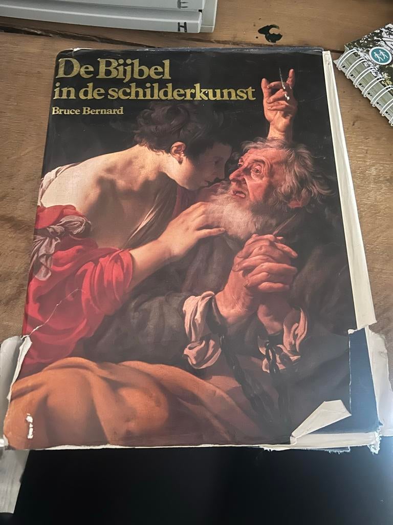 De Bijbel in de Schilderkunst - Bruce Bernard, Boeken, Ophalen of Verzenden, Gelezen, Christendom | Katholiek