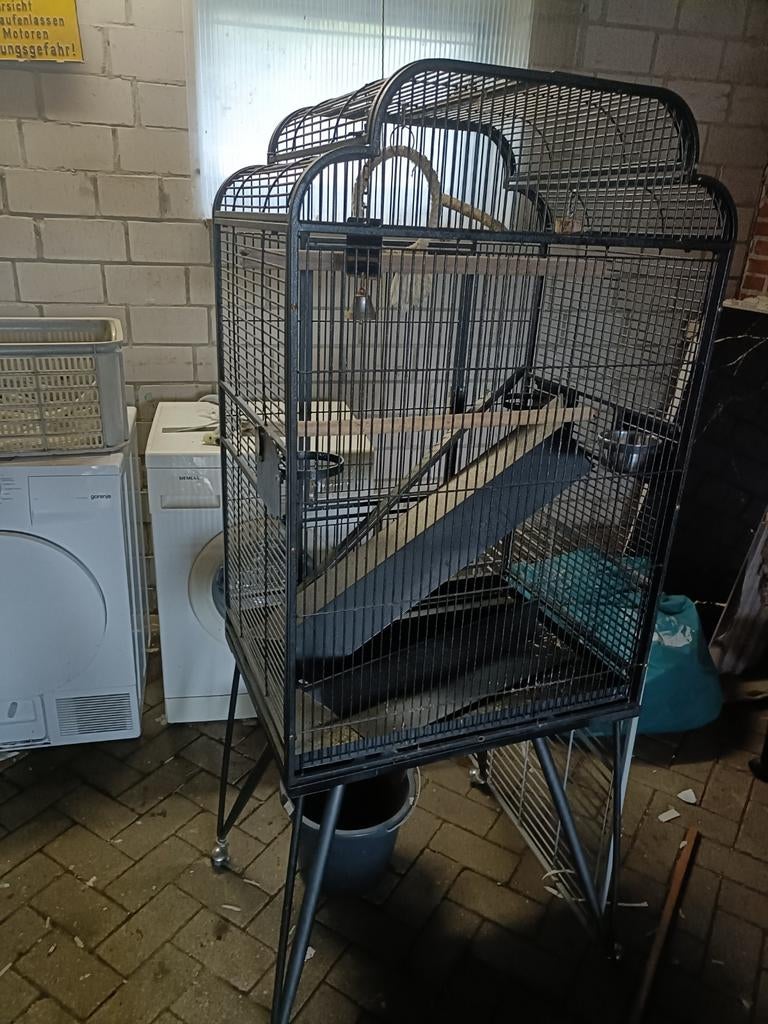 Vogel kooi te koop, Dieren en Toebehoren, Vogels | Hokken en Kooien, Ophalen, Metaal, Vogelkooi