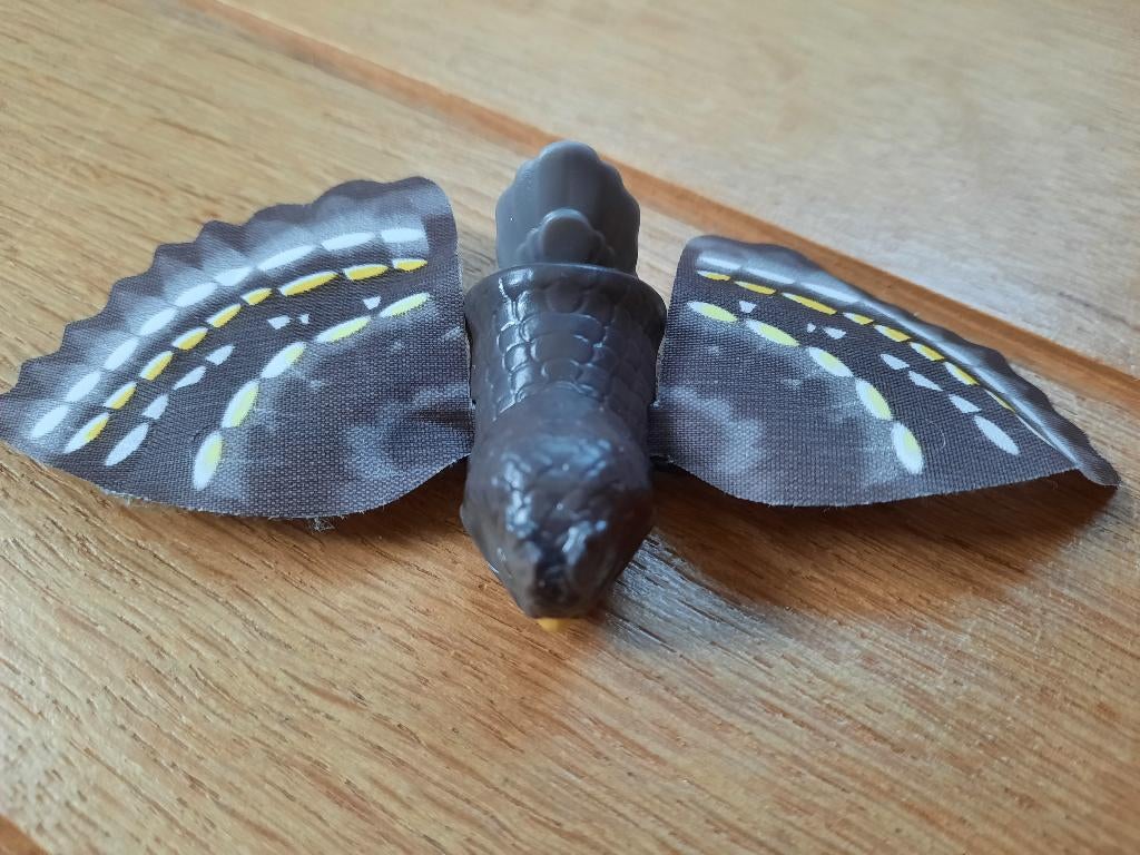 Vogel, Ophalen of Verzenden, Nieuw, Jongen of Meisje