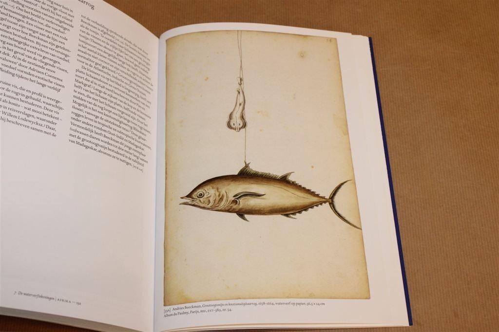 A. Beeckman — 17e-eeuwse vogeltekeningen — In nieuwstaat, Ophalen of Verzenden, Zo goed als nieuw