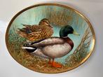 Vintage wandbord uit de serie “The Wild Ducks of Europe”, Ophalen of Verzenden