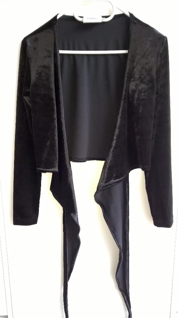 Zwart velours gilet met binders, Zwart, Ophalen of Verzenden, Zo goed als nieuw, Maat 36 (S)