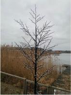 AANBIEDING | Led-Boom kersenbloesem 672 LED's 400 cm! GRTS B, Zonne-energie, Verzenden, Minder dan 50 watt, Nieuw