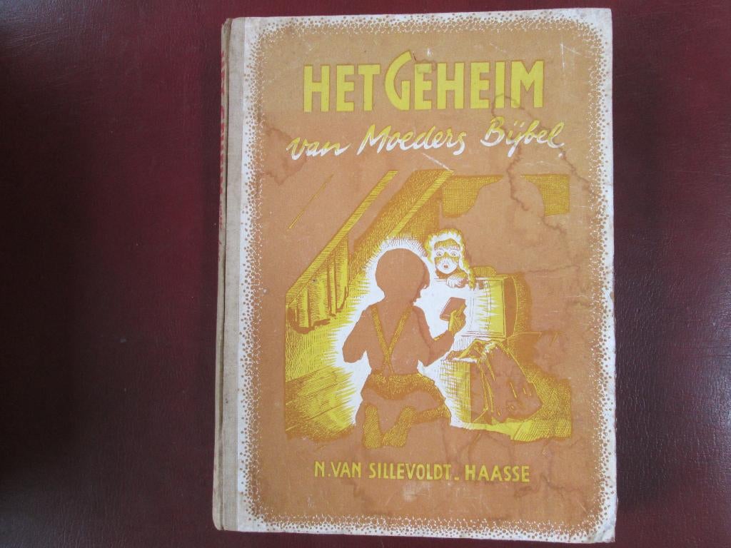 het Geheim van Moeders Bijbel, door N. van Sillevoldt-Haasse, Ophalen of Verzenden, Gelezen