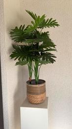 Mooie groene plant, Huis en Inrichting, Woonaccessoires | Zuilen en Pilaren, Ophalen of Verzenden, Zo goed als nieuw