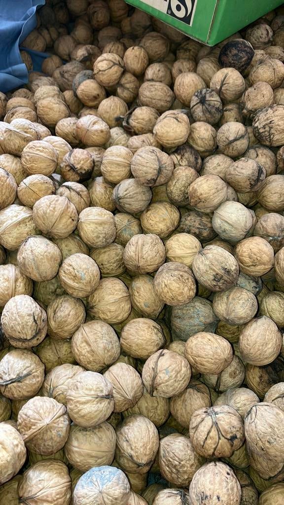 Walnoten biologisch en gedroogd van najaar 2025, Ophalen of Verzenden