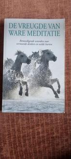 De Vreugde van Ware Meditatie - Jeff Foster, Boeken, Ophalen of Verzenden, Zo goed als nieuw, Jeff Foster, Meditatie of Yoga