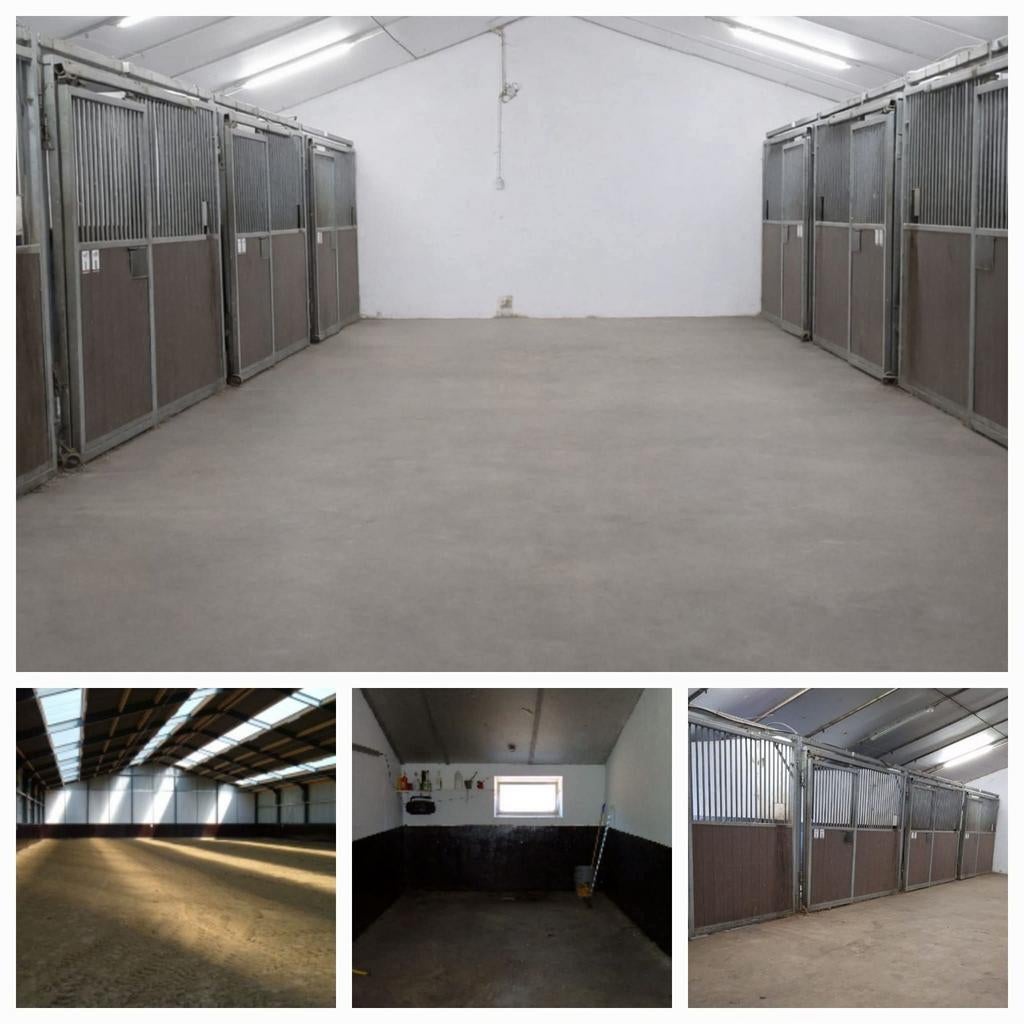 Stal gedeelte met 8 boxen te huur (meer boxen in overleg), Weidegang, 4 paarden of pony's of meer