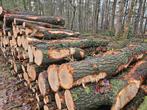 Haardhout stammen rondhout per vrachtwagen, 6 m³ of meer, Ophalen of Verzenden, Beukenhout, Stammen
